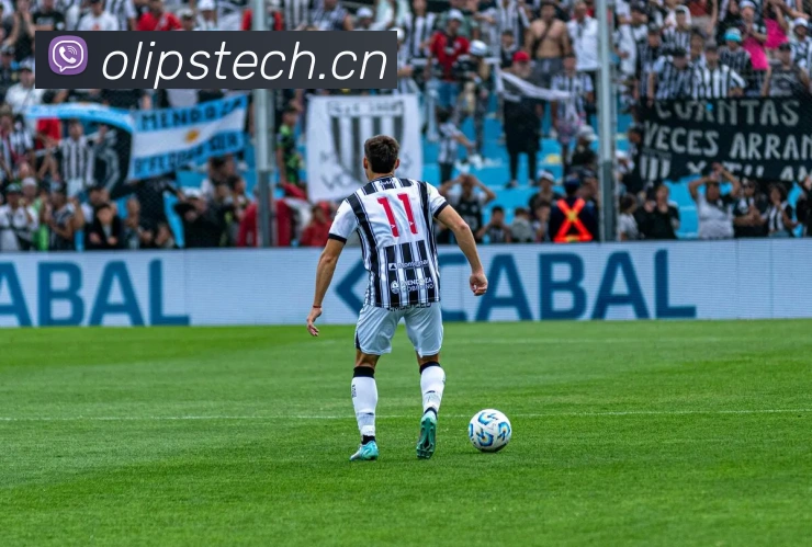 App Interface Preview